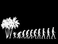 The future of human evolution