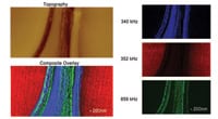 Figure 5: An example where wood cells have been mapped. Measurements have been made a number of frequencies.