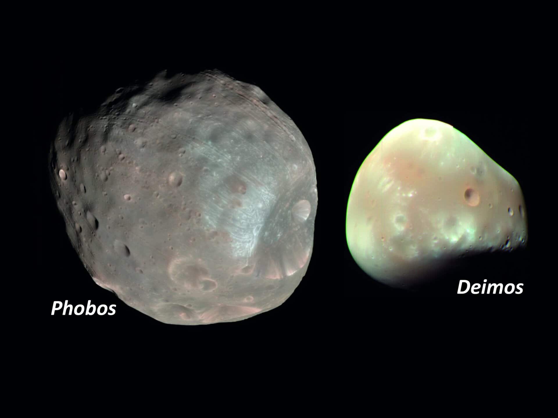 Figure 1: Phobos and Deimos (in false colors). Phobos is about 27 km in its longest diameter and Deimos is about 15 km. Images taken by the CRISM instrument onboard Mars Reconnaissance Orbiter. Credit NASA.