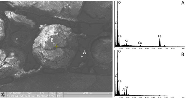 Figure 4: Energy dispersive X-ray spectroscopy (EDS) spectra collected from similar sample region from where the Raman spectra were measured confirming an elemental composition attributable to siderite.