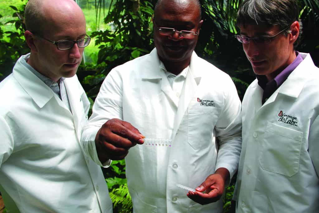 With only a low-cost heat source and your eyes, colorimetric LAMP has many potentially powerful uses, including easy and rapid detection of infectious disease like river blindness. 