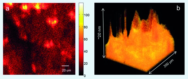 Figure 1 (Top Left): a. Image of a polymer-coated graphene sheet. The lighter the colour, the more polymer is present. b. A 3D visualisation of the same image, with yellow representing the polymer layer attached to the graphene. Images were obtained using time-of-flight secondary ion mass spectrometry (ToF-SIMS). 