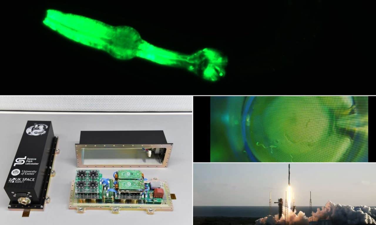 Microscopic astronauts' space lab takes pioneering journey - Laboratory ...