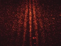 Figure 3: The quantum interference pattern for PcH2 molecules built up over a period of 90 minutes and captured with the Andor iXon 885 low-light camera.