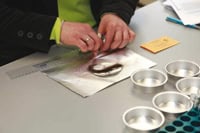 What is your hair hiding?