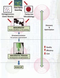 Figure 2: The perfect process. Creating an optimised biocatalytic process begins with the enzyme, be it novel, modified or pre-existing. Following process optimisation to ensure maximum efficiency and quality, the entire process is then scaled up for industrial application. (Image courtesy of libragen)   