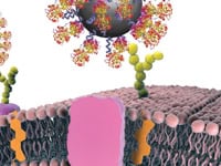 seek and destroy Figure 2