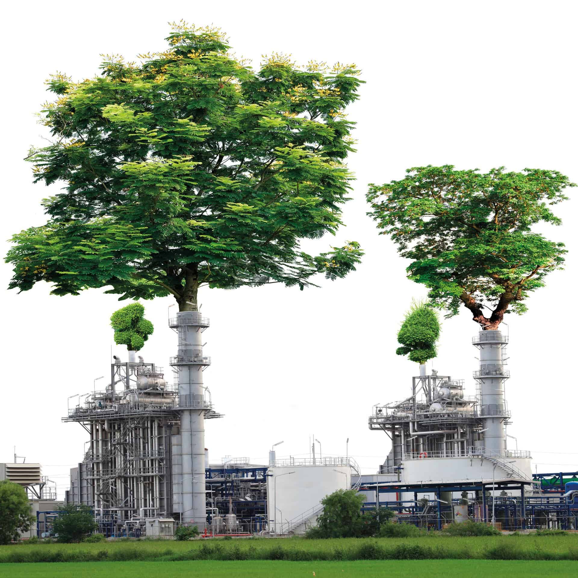 The petrochemical and pharmaceutical company differed greatly in how efficient they could be.