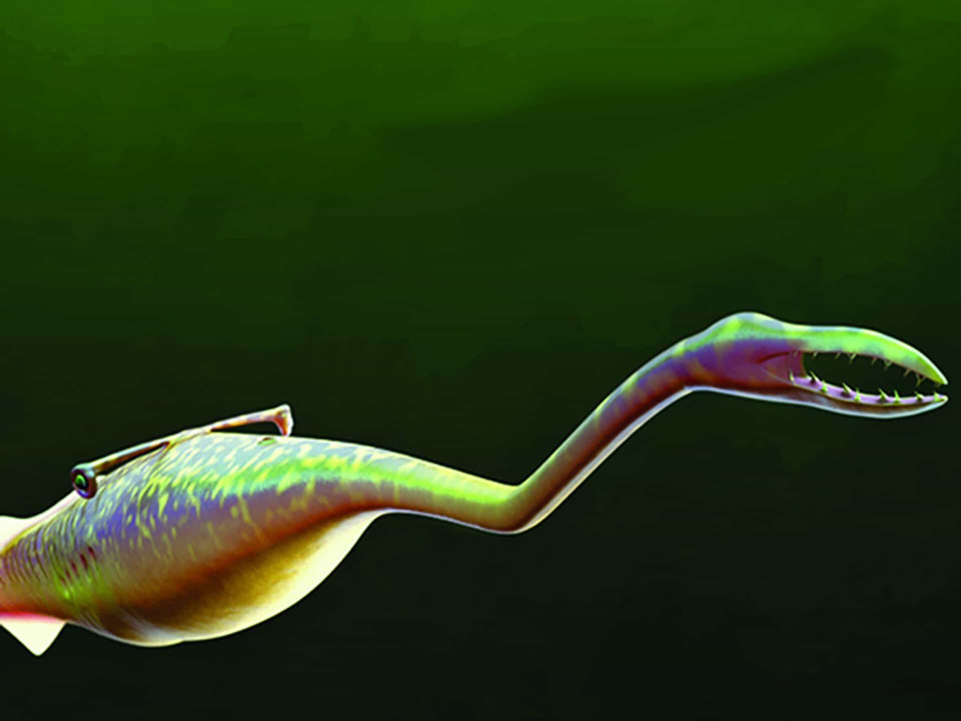 A nartist's impression of how the Tully monster may have looked 300mya.