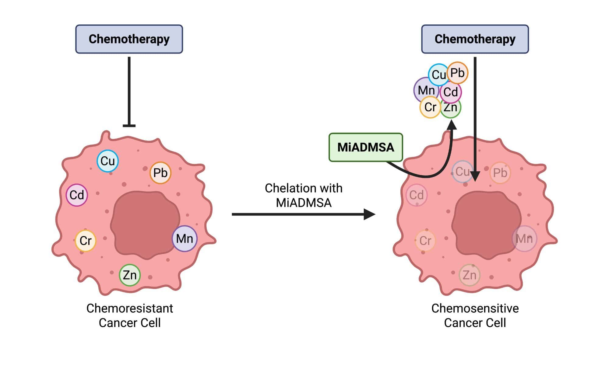 Metal combinations 'may help drive chemotherapy resistance' in lung cancer